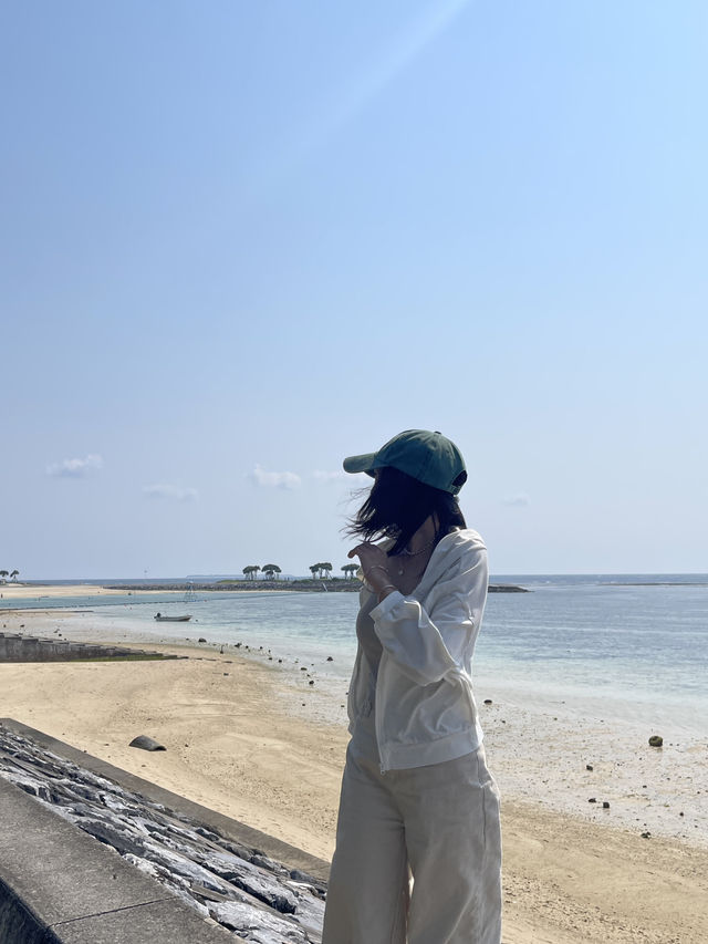 ปั่นจักรยาน หมู่บ้าน Bise-Fukugi (Okinawa) 🌲🚲🐈