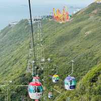Ocean Park HongKong 🦭