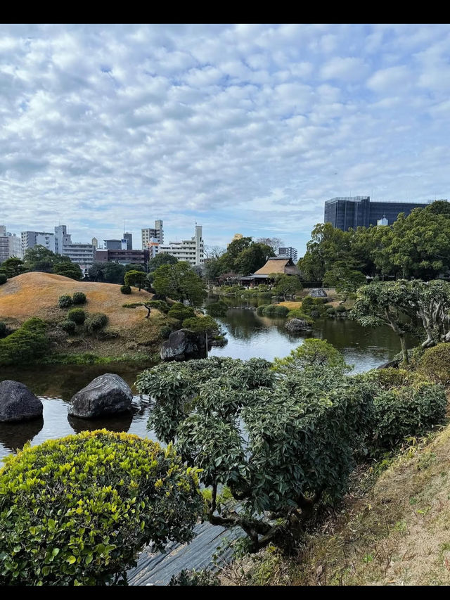 【水前寺成趣園】心がすっと整う、熊本の癒し庭園🌿