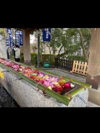 【加藤神社】熊本城の守り神に会いに行く⛩️✨ 