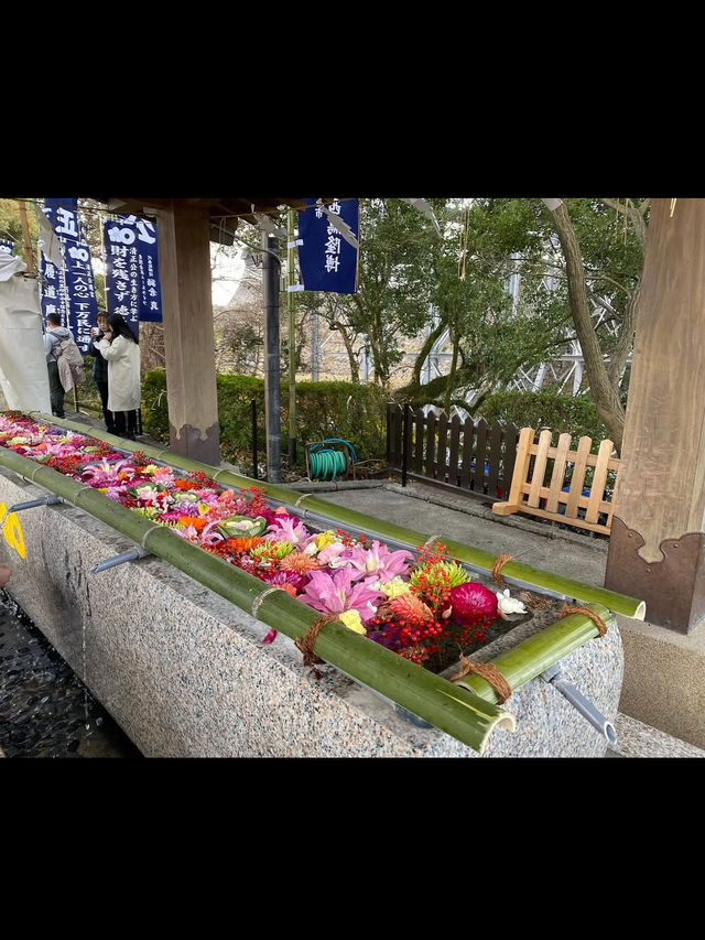 【加藤神社】熊本城の守り神に会いに行く⛩️✨ 