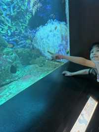 🌊 [Trip Moment] Batu Maung Aquarium: A Mini Marine Adventure in Penang