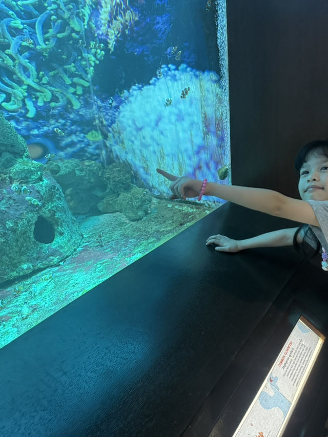 🌊 [Trip Moment] Batu Maung Aquarium: A Mini Marine Adventure in Penang