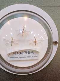 방학에 꼭 가봐야 할 자연사 핫플!