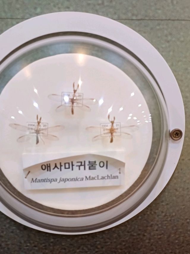 방학에 꼭 가봐야 할 자연사 핫플!