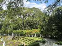 Hidden Beauty in the Heart of KL – Sunken Garden, Perdana Botanical Park 🌿