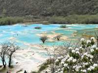 🐉 Huanglong Scenic Area 黄龙风景区 | China’s Fairyland in the Mountains