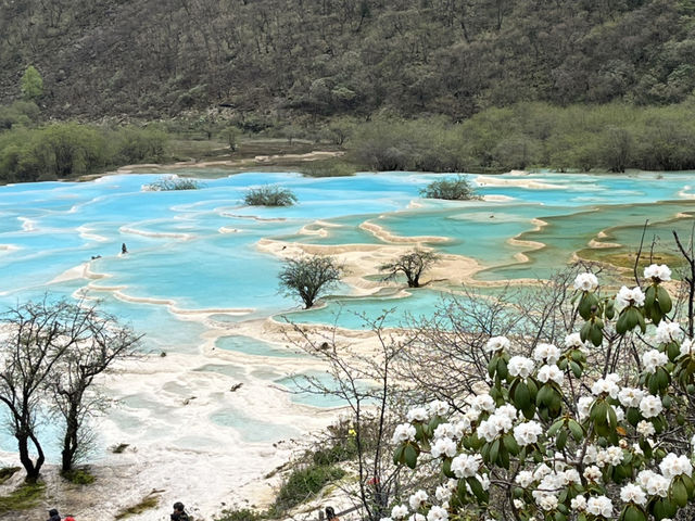🐉 Huanglong Scenic Area 黄龙风景区 | China’s Fairyland in the Mountains