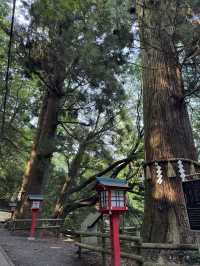 Mt. Takao