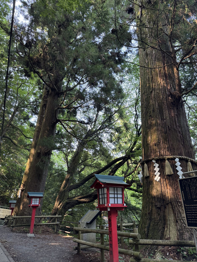 Mt. Takao