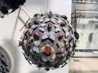 The Grace of Flight: The Insect World at Oxford's Natural History Museum