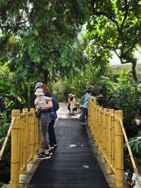 🌿 Tropical Wonder in the City – Bloedel Conservatory at Queen Elizabeth Park