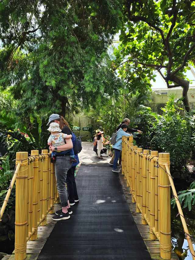 🌿 Tropical Wonder in the City – Bloedel Conservatory at Queen Elizabeth Park