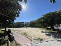 博多街角綠意：冷泉公園散策指南