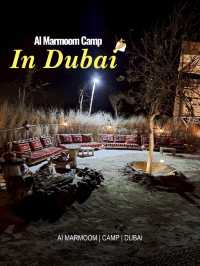 AI MARMOOM CAMP 📍DUBAI🐪✨