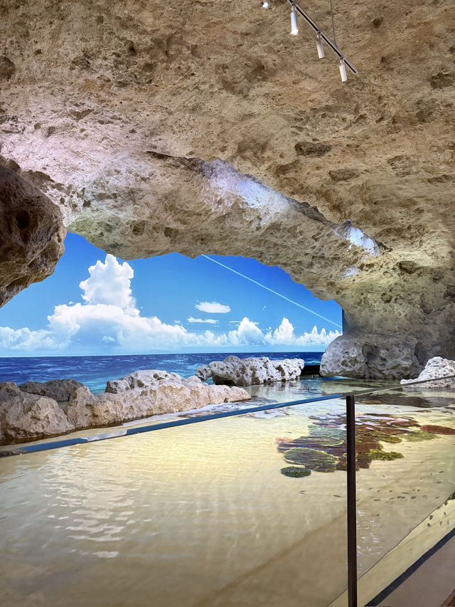 [okinawa]DMM Kariyushi水族館