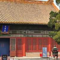  Walking Through Imperial History at the Forbidden City