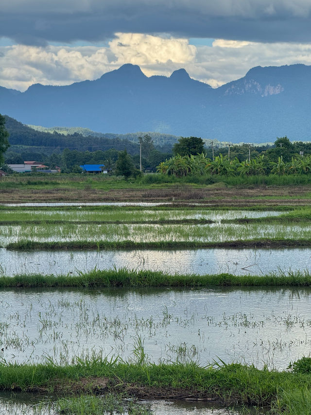 บ้านโอบอุ่น อ.เชียงดาว 🏡⛰️🌦️🐶 บ้านโอบอุ่น อ.เชียงดาว 🏡⛰️🌦️🐶