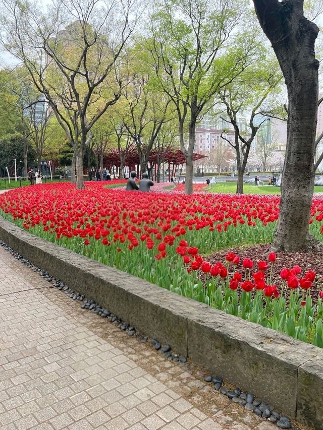 Tulip Trails & Artistic Tales : JingAn Sculpture park