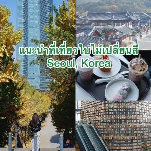 서울에서 가을 단풍 구경 계획 공유🍁🌿🍂🇰🇷