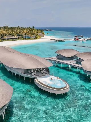 🌴 The St. Regis Maldives Resort 🐬✨