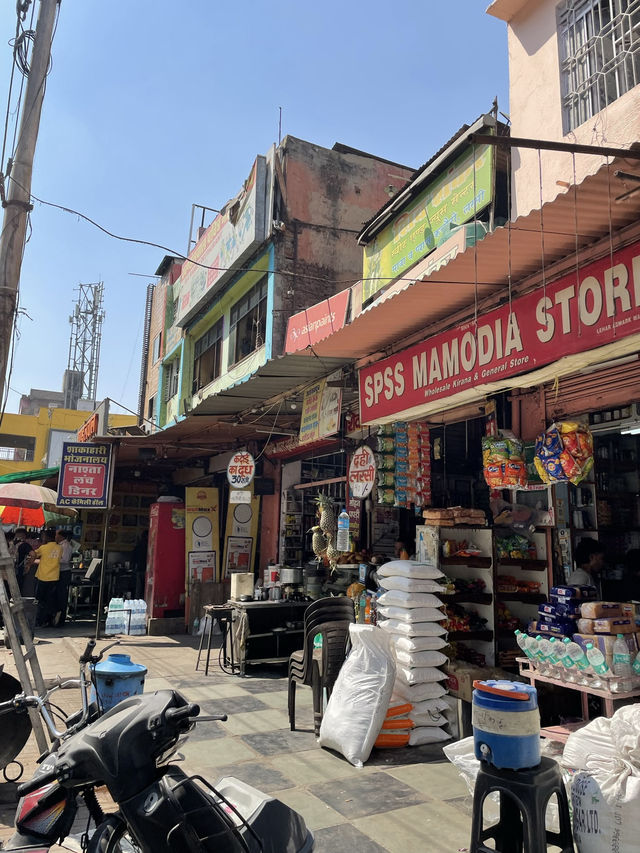 🕌 インド・ピンクシティでの過ごし方