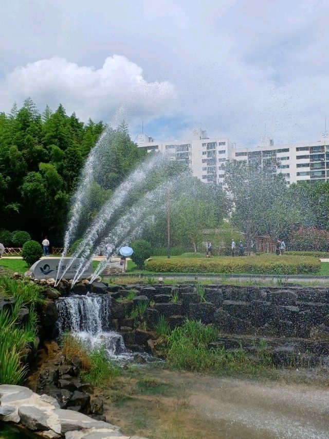 꽃길 따라 걷는 힐링 산책 🌸