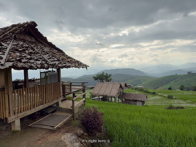 ดาวบ้านดอย โฮมสเตย์ป่าบงเปียง 💚🌾