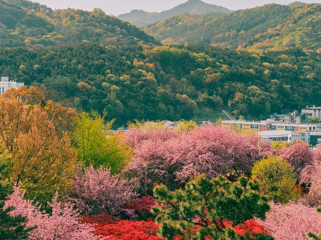 🌿 전라도 여행 – 맛과 풍경의 천국 🌿 전라도 여행 – 맛과 풍경의 천국