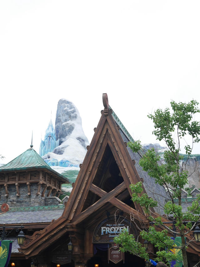 Tokyo Disneysea (July 2024)