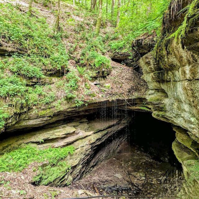 Mammoth Cave National Park (KY)