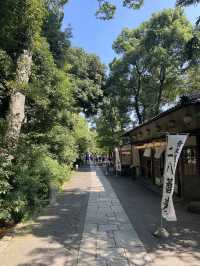 【東京】SNSで話題沸騰中！人気の避暑地🌱