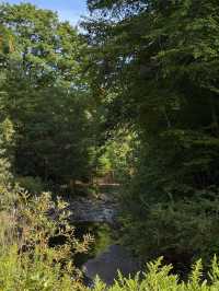 Sunnybrook Park – A Green Oasis in Toronto