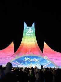 Harbin Ice and Snow World ❄️☃️