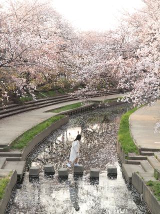 Motoarakawa Saitama 🌸