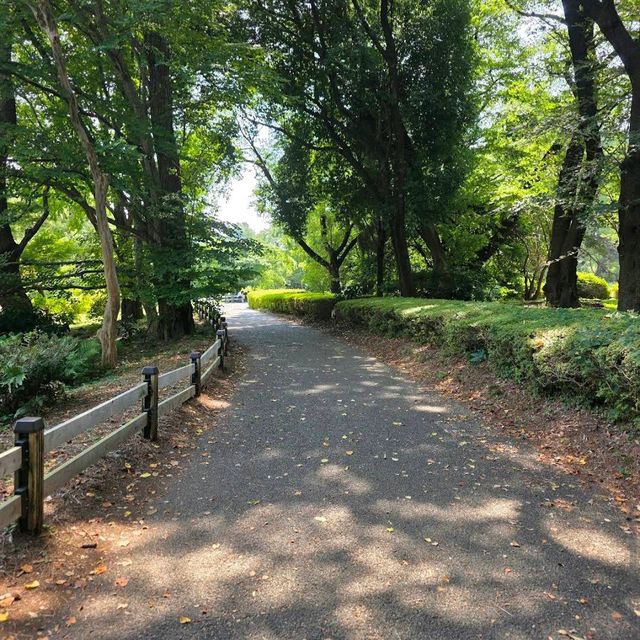 Shinjuku Gyoen