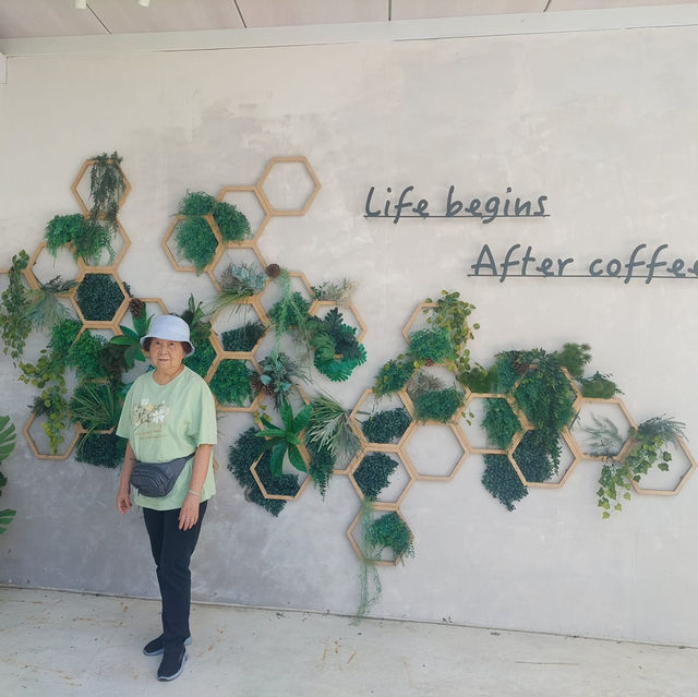 【台灣宜蘭】After Coffee🐱巨型店貓坐鎮 【台灣宜蘭】After Coffee🐱巨型店貓坐鎮