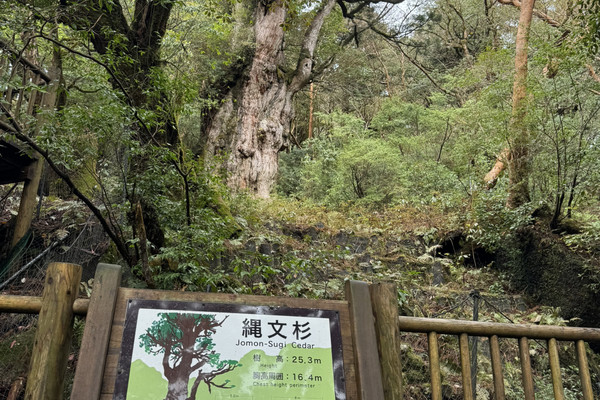 鹿児島、屋久島、宮崎3日間の旅 | Trip.com 日南