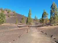 Discovering the Majesty of El Teide in Tenerife