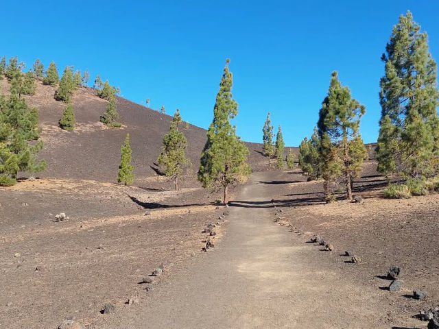 Discovering the Majesty of El Teide in Tenerife