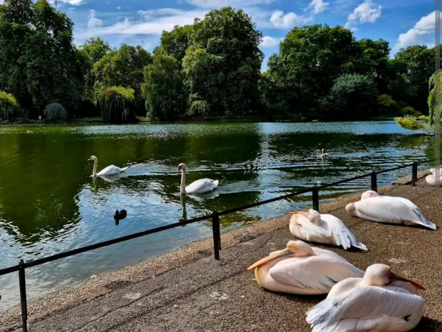 St James's Park