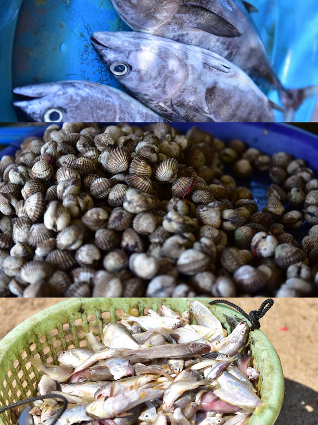 สดกว่านี้ไม่มีอึกแล้ว ตลาดปลาทะเล ตากใบ สดกว่านี้ไม่มีอึกแล้ว ตลาดปลาทะเล ตากใบ