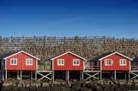 Lofoten Islands – Nature’s Masterpiece