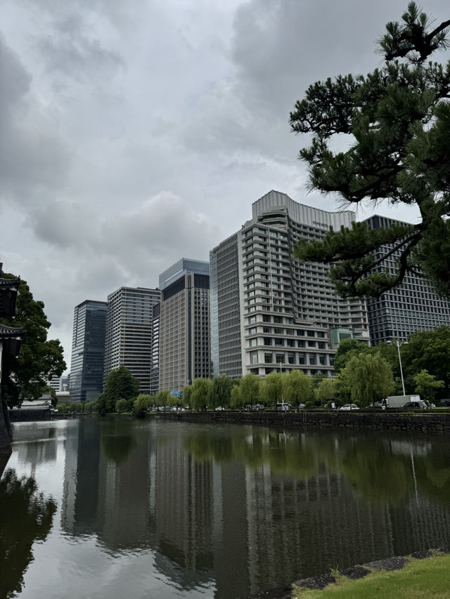 Summer in Tokyo🌤️