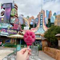 上海ディズニーランドで手軽に海外パークを体験！