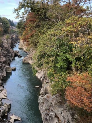 엄미계의 자연미를 감상하다