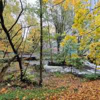 Nedre Foss – Riverside Green Haven in Oslo