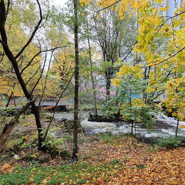 Nedre Foss – Riverside Green Haven in Oslo Nedre Foss – Riverside Green Haven in Oslo