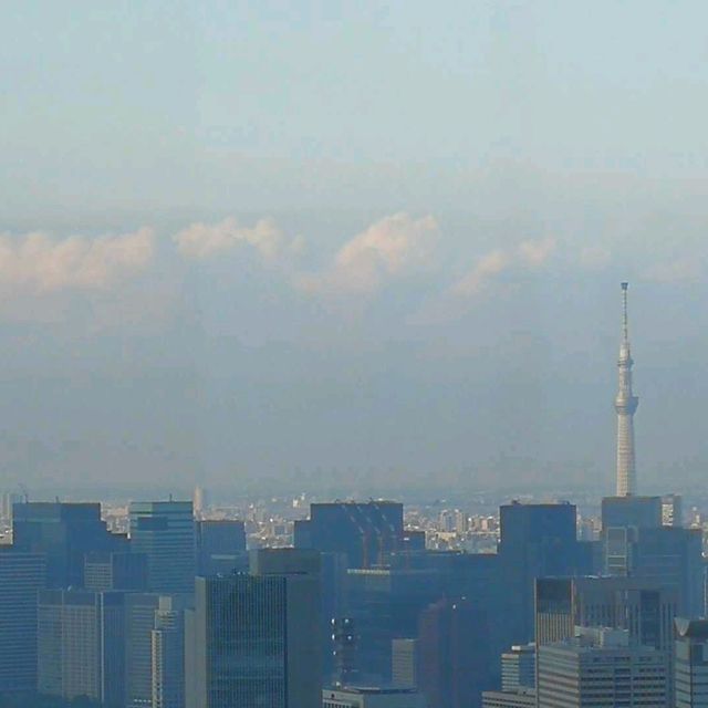 🏙️六本木新城展望台•東京360度極致景觀•富士山+夜色一次滿足