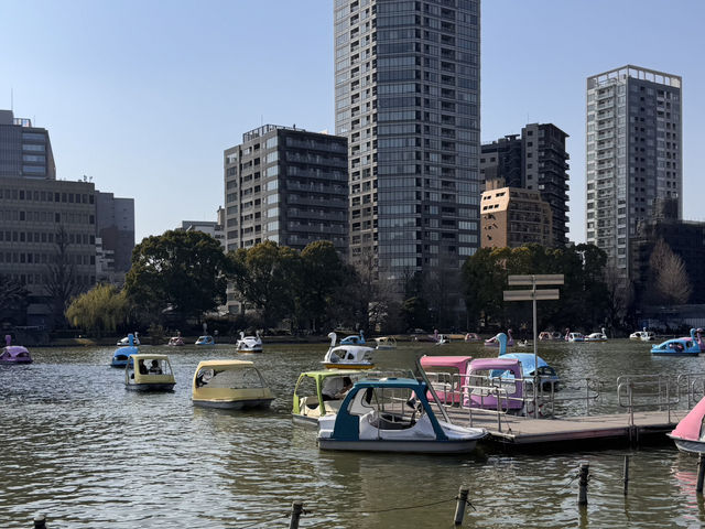 ๐ธ ๋์ฟ ์ฐ์๋
ธ๊ณต์ (Ueno Park) ๐ธ ๋์ฟ ์ฐ์๋
ธ๊ณต์ (Ueno Park)